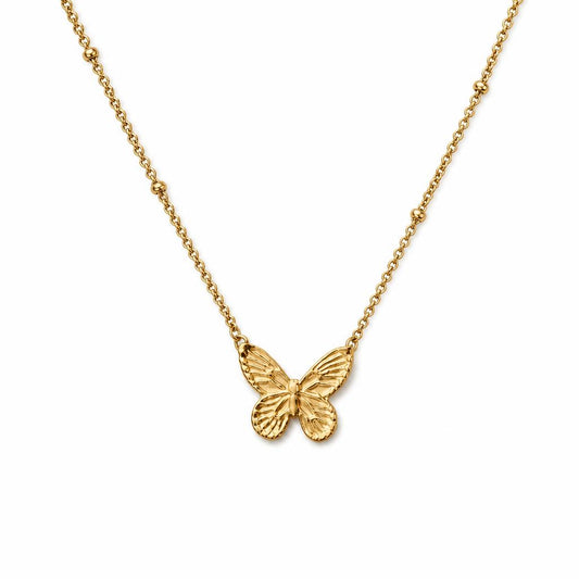 AYNOHA gold butterfly necklace on white - studio